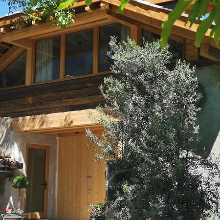 Ansitz Grustdorf Διαμέρισμα Appiano Sulla Strada Del Vino Εξωτερικό φωτογραφία