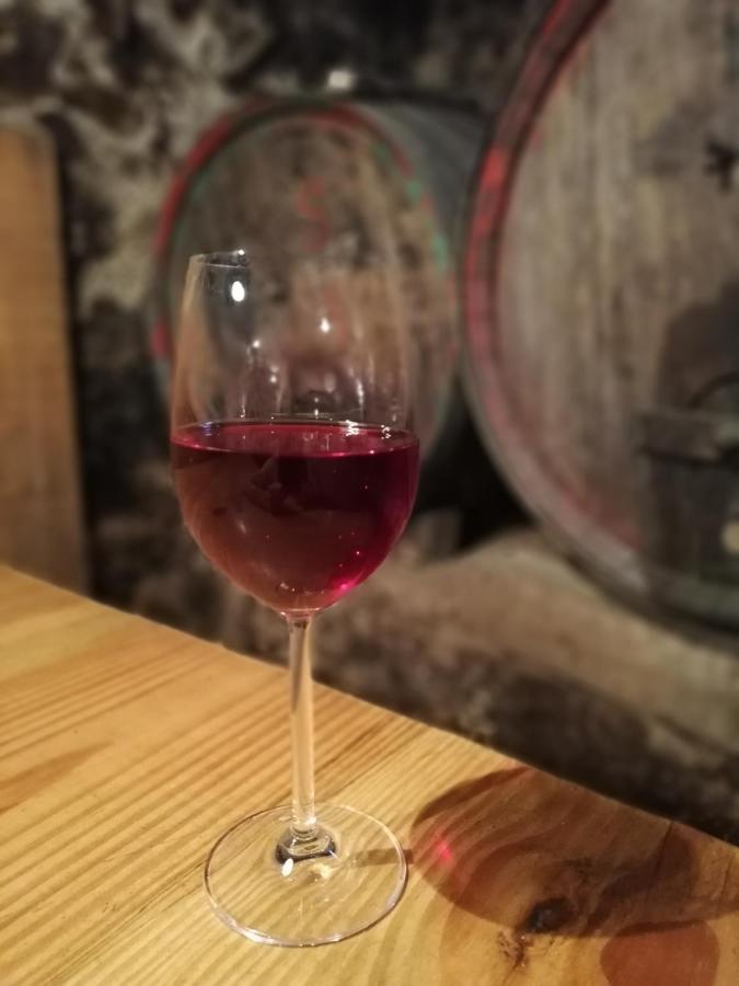Ansitz Grustdorf Διαμέρισμα Appiano Sulla Strada Del Vino Εξωτερικό φωτογραφία