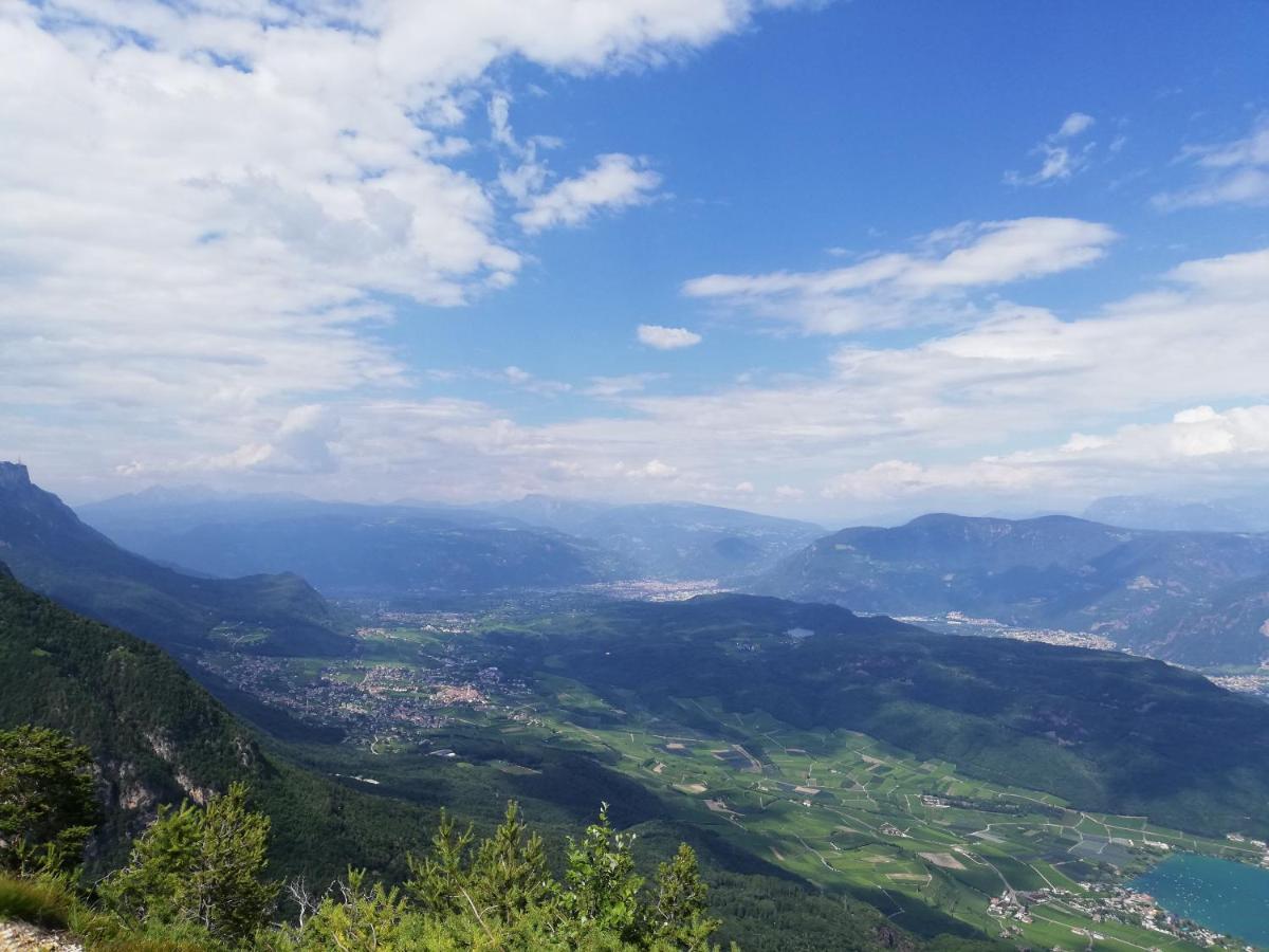 Ansitz Grustdorf Διαμέρισμα Appiano Sulla Strada Del Vino Εξωτερικό φωτογραφία